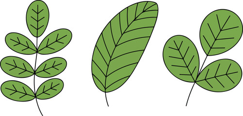 Eco Leaf Shapes Line Icons Set  Pinnate, Serrated, and Trifoliate Botanical Forms