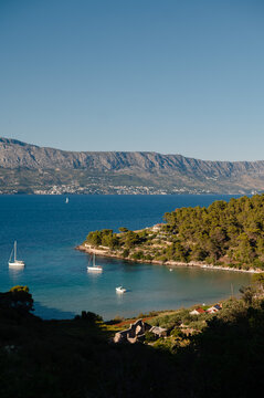Dalmatian Coast Bay with Sailboats