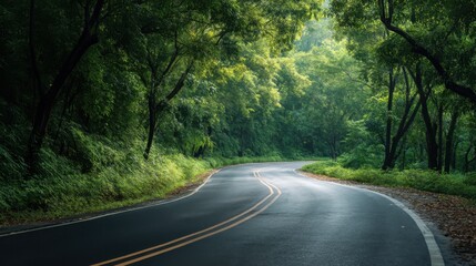 Fototapeta premium Curved road winding through a lush green forest. Scenic drive through nature with sunlight filtering through trees. Travel and adventure concept for advertising banner.