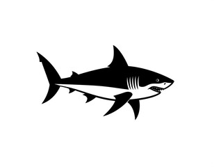 Obraz premium A black silhouette of a shark with white underbelly