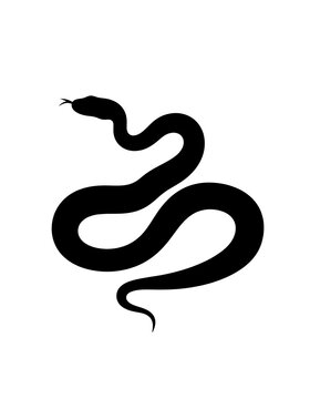 A black snake with its body curved in a smooth motion