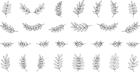 Hand drawn botanical leaves and branches collection with decorative foliage elements isolated on white © Rubya