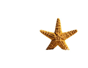 A dried, golden starfish isolated on a solid black backdrop. Close up, five-point symmetry