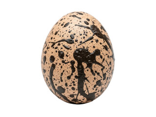 Obraz premium A speckled brown and black quail egg, beautifully patterned with unique markings isolated on transparent background