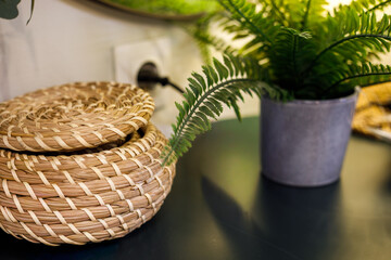 Fototapeta premium woven basket with fern plant on black surface