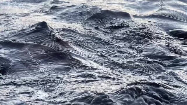 Calm ocean waves washing a rocky shore at dawn, soft pastel blue light before sunrise, minimal coastal scenery conveying freedom, travel lifestyle, nature balance, environment and relaxing seaside mor