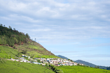 Obraz premium Mountain village near Ooty, Nilgiris, Tamil Nadu, with huts and houses amid tea plantations and lush greenery, illuminated by sunlight beneath a blue sky and dramatic gray clouds.