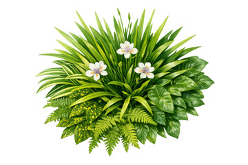 Green plant arrangement with white flowers and diverse foliage on a transparent background, offering lush garden elements