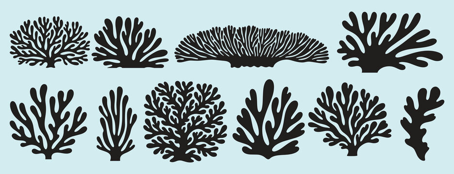 coral abstract shape matisse geometric set. poster organic art coral poster.contemporary minimal style. trendy boho marine corals illustrations