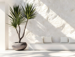 Pointed yucca plants in a modern minimalist setting