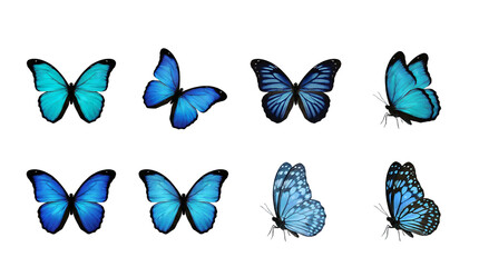 Naklejka premium Blue butterfly set including morpho, swallowtail, and spotted wing variants isolated. Exotic tropical insect collection for nature and wildlife design.