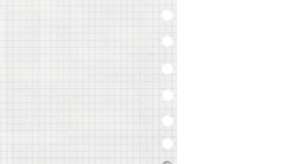 Close-up of Grid Paper with Binder Holes
