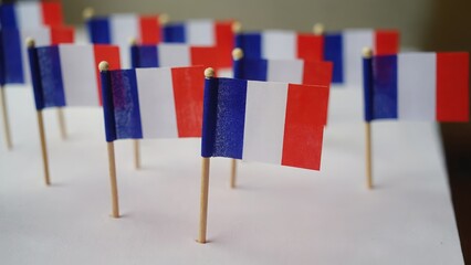 Group of small French flags on white background