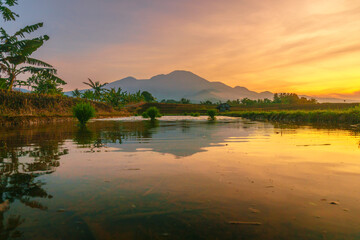 Beautiful morning view in Indonesia, panoramic landscape of rice fields with mountain ranges and clear sky
