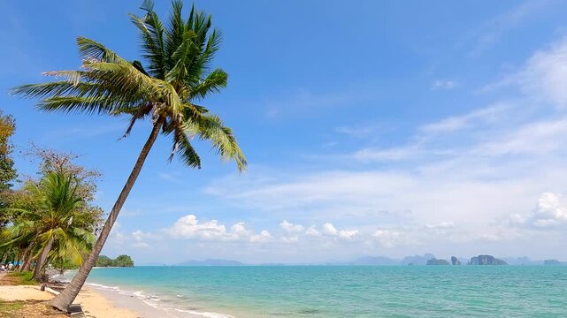 Beautiful Tropical beach with Palm tree and clear sea with clouds in background