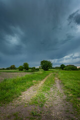 Dark storm cloud over meadow with road