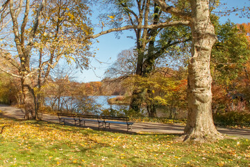 &Aacute;rboles en oto&ntilde;o junto a un lago. Bancos junto a un sendero con vistas a The Lake en Central Park, Nueva York, EE. UU. Noviembre, 2019.