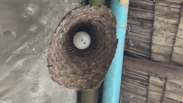 Rustic woven lamp shade hanging under wooden roof with white bulb inside gently swaying in the wind.