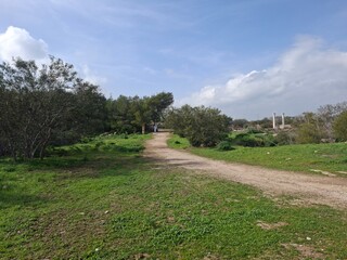 path in the park