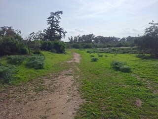 path in the mountains