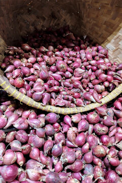 Shallot (Allium cepa) or Red onions at traditional market. In Indonesia it is also known as Bawang merah, Brambang, Bawang abang. Selective focus 