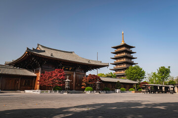 buddah temple and pagoda