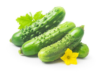 Fresh green cucumber with leaves and flowers, natural vegetables, organic food, isolated on white background.