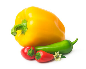 fresh pepper fruits with green leaves and flower, isolated on white background

