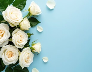Delicate white roses flowers on a blue background. Spring frame. Space for text. Color of the Year 2026, Cloud Dancer.