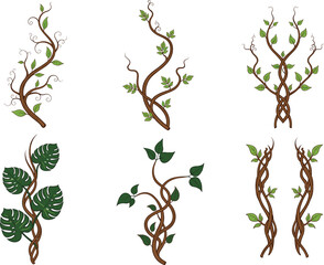 Decorative twisting vine branches collection with green leaves for botanical design vector illustration © EdGe Creative