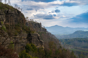 Naklejka premium Hrensko, Czech Republic, Bohemian Switzerland National Park three years after a massive forest fire. The landscape shows dead tree trunks and active regeneration with new greenery under cloudy skies.