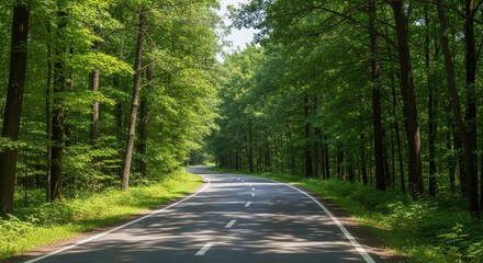 Obraz premium Scenic winding asphalt road through a lush green deciduous forest under bright sunlight