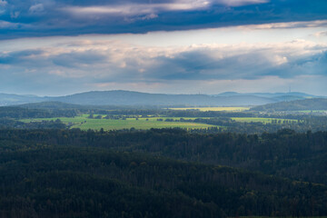 Fototapeta premium Hrensko, Czech Republic, Bohemian Switzerland National Park three years after a massive forest fire. The landscape shows dead tree trunks and active regeneration with new greenery under cloudy skies.