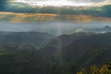 Obraz premium Hrensko, Czech Republic, Bohemian Switzerland National Park three years after a massive forest fire. The landscape shows dead tree trunks and active regeneration with new greenery under cloudy skies.
