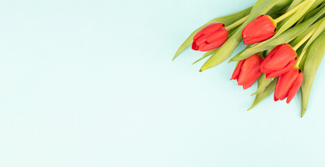 Greeting card for mothers day, easter holiday, birthday, valentine day, spring season, red tulip flowers background