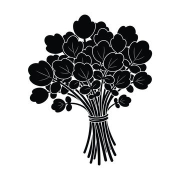 Black silhouette of a bunch of watercress tied with string isolated on  white Background