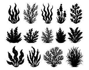 Black Coral Silhouettes Set in Various Styles on White Background