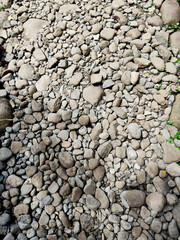 Authentic Outdoor Earthy Rock Surface Pattern