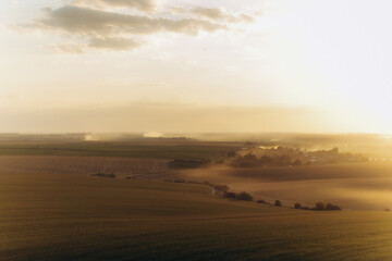 Fototapeta premium Rural landscape with fields and trees during morning golden hour