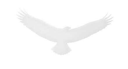 Obraz premium paper cut shape with clean edges and fiber detail, isolated on pure white background