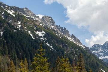 Fototapeta premium Tatra Mountains in Poland showcasing rugged peaks, snow-capped summits, and dense coniferous forests under a clear blue sky