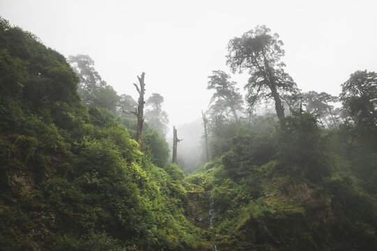 View of lush green vegetation clinging to steep hillsides shrouded in mist, with a small waterfall trickling down the rocks, Dochula Chorten, Thimphu, Bhutan.