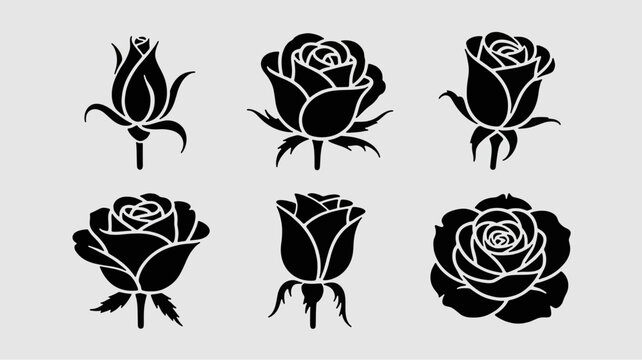 Rose silhouettes: A monochrome series of rose illustrations, offering a delicate yet bold representation of the flower's stages and shapes, perfect for design and botanical themes.