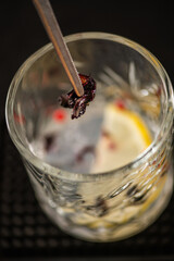 Barman enhancing gin flavor by adding herbs and spices into clear glass. Highlights aroma, detail, and balance in drink creation.
