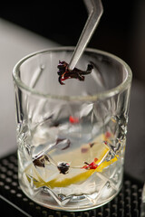 Bartender mixing gin with aromatic spices in transparent glass. Captures aroma, texture, and balance of botanical ingredients.