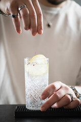 Barman serving freshly made gin tonic with lemon and ice at modern bar. Captures aroma, sparkle, and stylish cocktail culture.