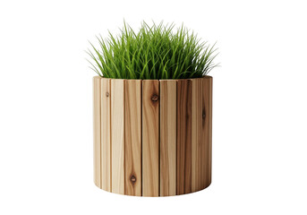 Green grass in a wooden pot on white background isolated on transparent background