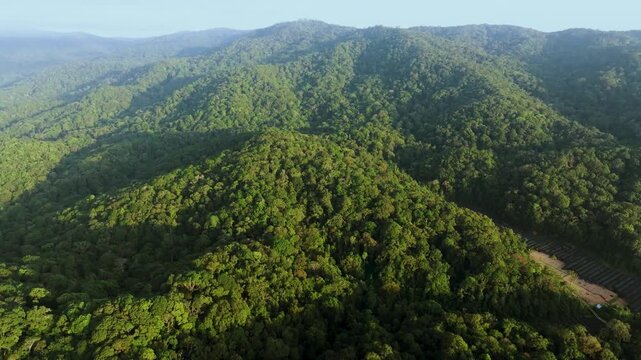 Aerial 4K: Untouched Primary Rainforest in Bidoup Nui Ba National Park, Vietnam
the vast, unbroken canopy of ancient trees and rolling mountain ridges stretching into the horizon