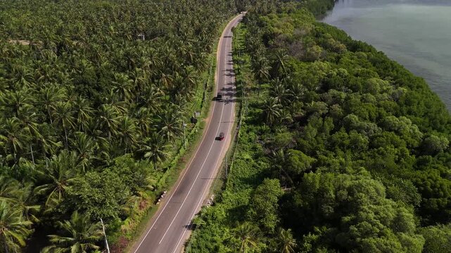 Tuktuk driving on a coastal road in Sri Lanka surrounded by palmtrees.