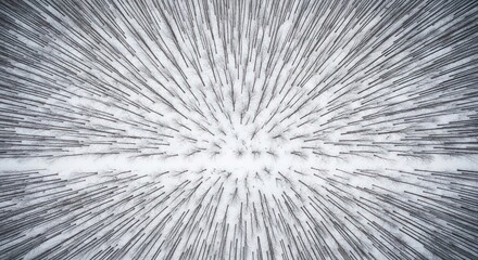 Obraz premium Forest viewed above, blur emanating from a point, snow at ground level